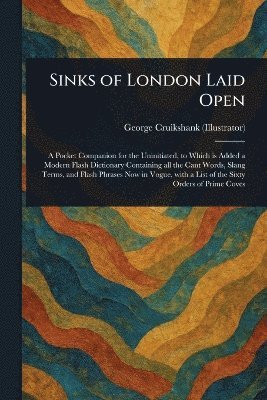 bokomslag Sinks of London Laid Open