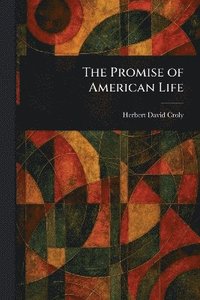 bokomslag Promise of American Life
