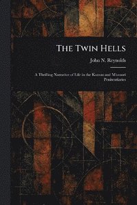 bokomslag Twin Hells