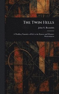 bokomslag Twin Hells