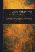 bokomslag Slave Narratives
