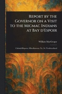 bokomslag Report by the Governor on a Visit to the Micmac Indians at Bay D'Espoir