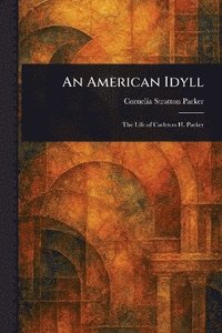 bokomslag American Idyll