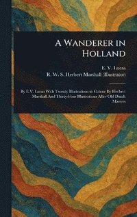 bokomslag Wanderer in Holland