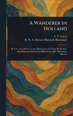 bokomslag Wanderer in Holland