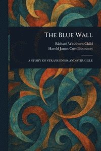 bokomslag Blue Wall
