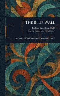 bokomslag Blue Wall