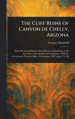 Cliff Ruins of Canyon De Chelly, Arizona 1