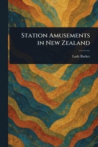 bokomslag Station Amusements in New Zealand