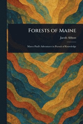 Forests of Maine 1