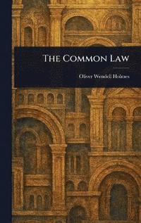 bokomslag Common Law