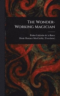 bokomslag Wonder-Working Magician