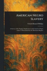 bokomslag American Negro Slavery