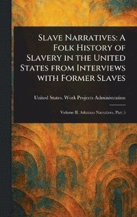 bokomslag Slave Narratives