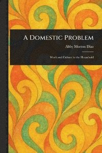 bokomslag Domestic Problem