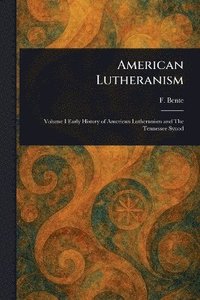 bokomslag American Lutheranism
