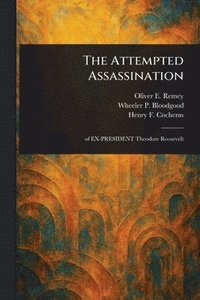bokomslag The Attempted Assassination