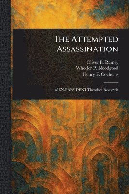 bokomslag The Attempted Assassination