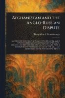 bokomslag Afghanistan and the Anglo-Russian Dispute