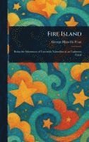 bokomslag Fire Island