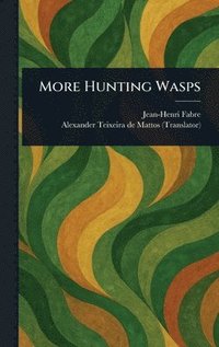 bokomslag More Hunting Wasps