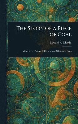 bokomslag Story of a Piece of Coal