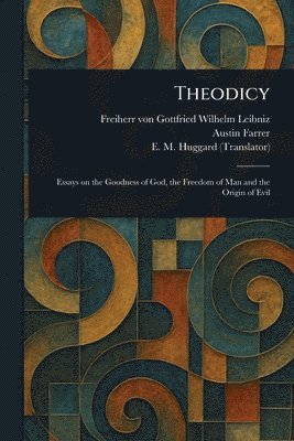 bokomslag Theodicy