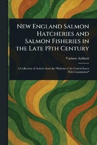 bokomslag New England Salmon Hatcheries and Salmon Fisheries in the Late 19th Century