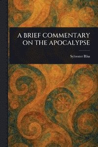 bokomslag Brief Commentary on the Apocalypse