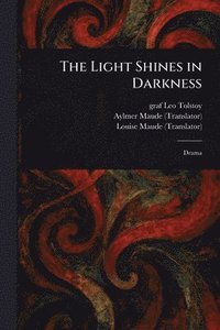 bokomslag Light Shines in Darkness