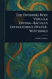bokomslag Divining Rod