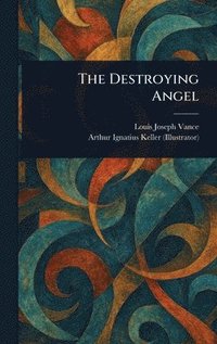 bokomslag Destroying Angel