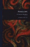 bokomslag Penelope