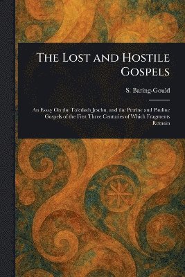 bokomslag Lost and Hostile Gospels