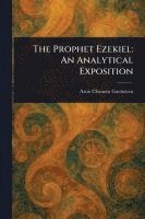 bokomslag Prophet Ezekiel