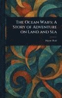 Ocean Waifs 1