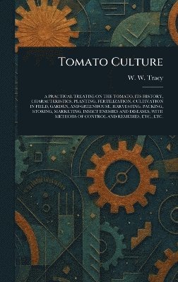 bokomslag Tomato Culture