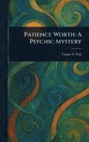 bokomslag Patience Worth: A Psychic Mystery