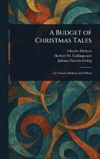 bokomslag Budget of Christmas Tales