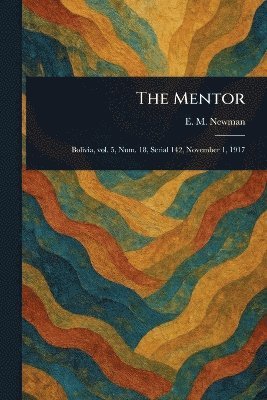bokomslag Mentor