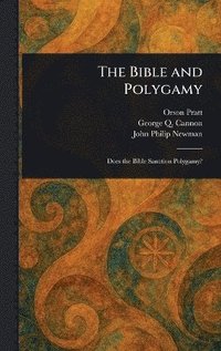 bokomslag Bible and Polygamy