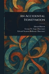 bokomslag Accidental Honeymoon