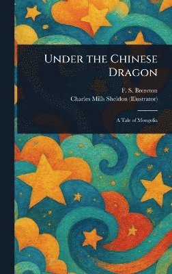 bokomslag Under the Chinese Dragon