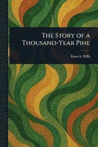 bokomslag Story of a Thousand-Year Pine