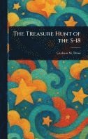 bokomslag The Treasure Hunt of the S-18