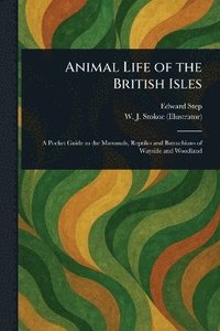 bokomslag Animal Life of the British Isles