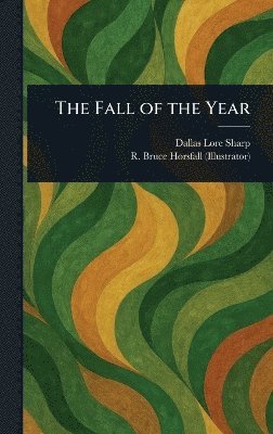 bokomslag Fall of the Year