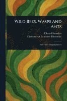 Edward Saunders, Constance A Saunders - Wild Bees, Wasps and Ants, Häftad