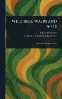 Edward Saunders, Constance A Saunders - Wild Bees, Wasps and Ants, Inbunden