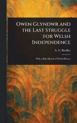 bokomslag Owen Glyndwr and the Last Struggle for Welsh Independence